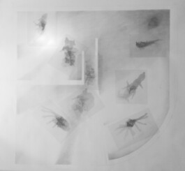Louise Holland - Spatial Designer