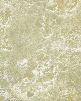 Louise Holland - Spatial Designer