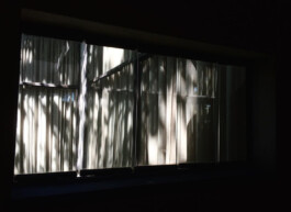 Louise Holland - Spatial Designer